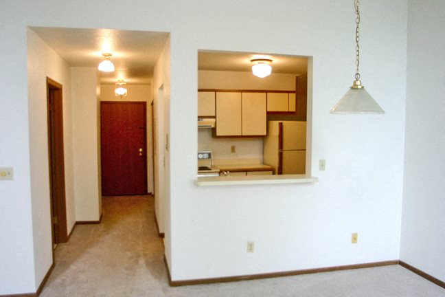 Gallery Photo 5